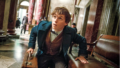 Eddie Redmayne, Newt Scamander, Fantastic Beasts and Where to Find Them