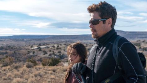 Benicio del Toro in Sicario: Day of the Soldado