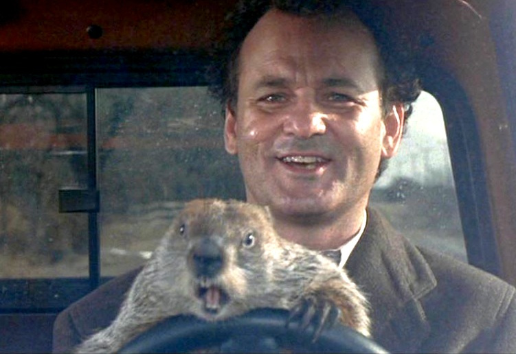 Bill Murray, Groundhog Day