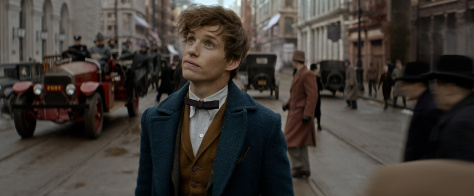 Fantastic Beasts and Where to Find Them, Newt Scamander, Eddie Redmayne