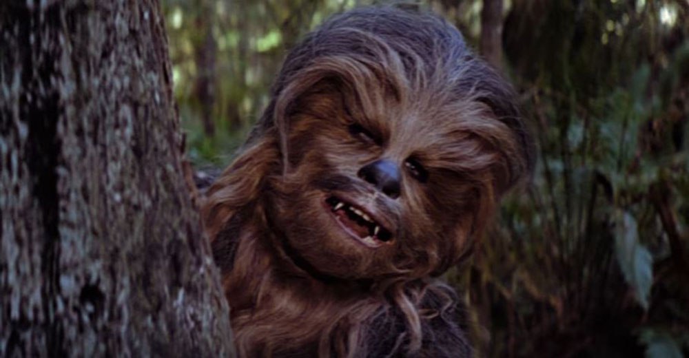 Chewbacca, Peter Mayhew, Star Wars Episode VI: Return of the Jedi