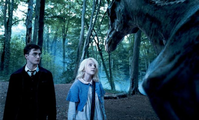 Evanna Lynch, Luna Lovegood, Thestrals, Harry Potter, Daniel Radcliffe, Harry Potter and the Order of the Phoenix