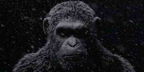 Caesar, Andy Serkis, War for the Planet of the Apes